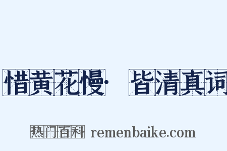 惜黄花慢·皆清真词是什么意思的图片